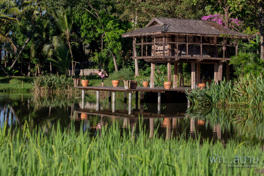 Four Seasons Resort Chiang Mai | Paksabuy.Com พักสบาย