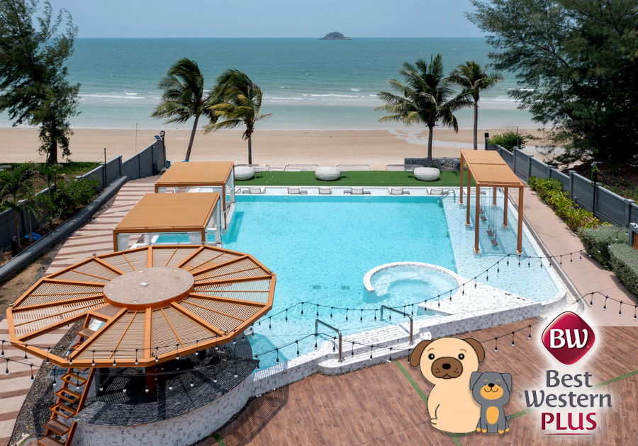 รีวิว Best Western Plus Carapace Hotel Hua Hin (Pet Friendly) |  Paksabuy.Com พักสบาย